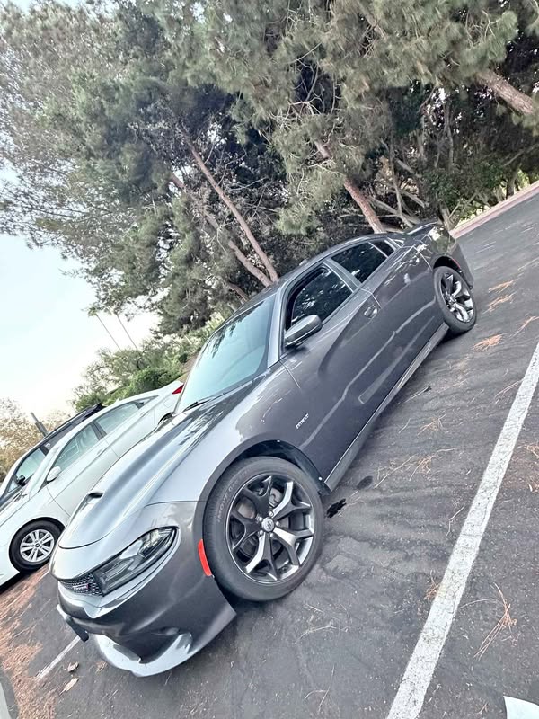2019 Dodge Charger - R\/T Plus Sedan 4D