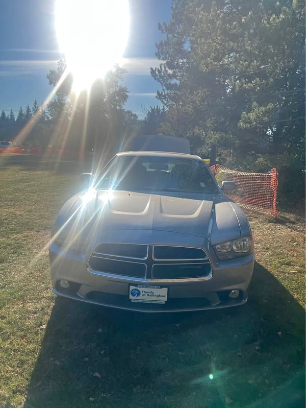 2014 Dodge Charger - SXT Sedan 4D