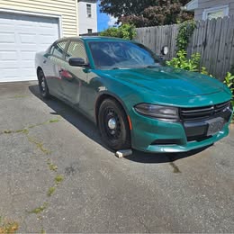 2015 Dodge Charger - Sedan 4D
