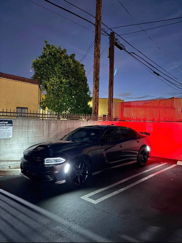 2019 Dodge Charger - GT Plus Sedan 4D