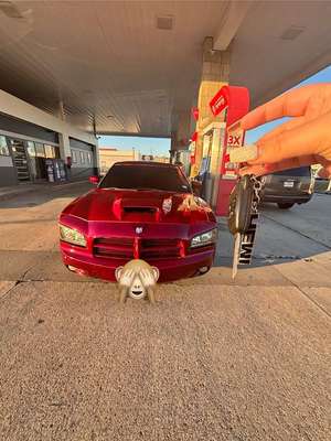 2006 Dodge Charger - R\/T Sedan 4D