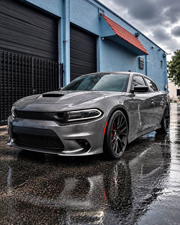 2019 Dodge Charger - R\/T Sedan 4D