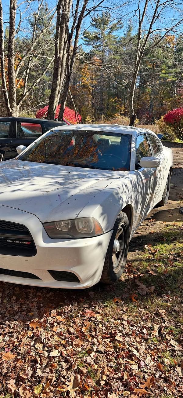2012 Dodge Charger - Sedan 4D