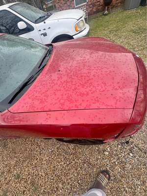 2009 Dodge Charger - Sedan 4D