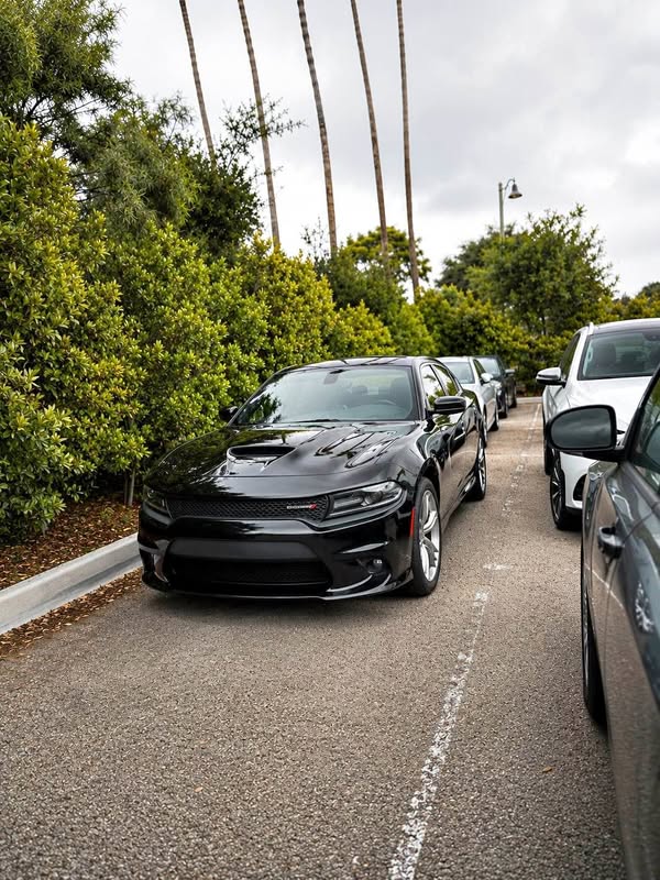2020 Dodge Charger - GT Plus Sedan 4D