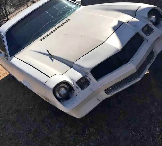1979 Chevrolet Camaro - Coupe 2D