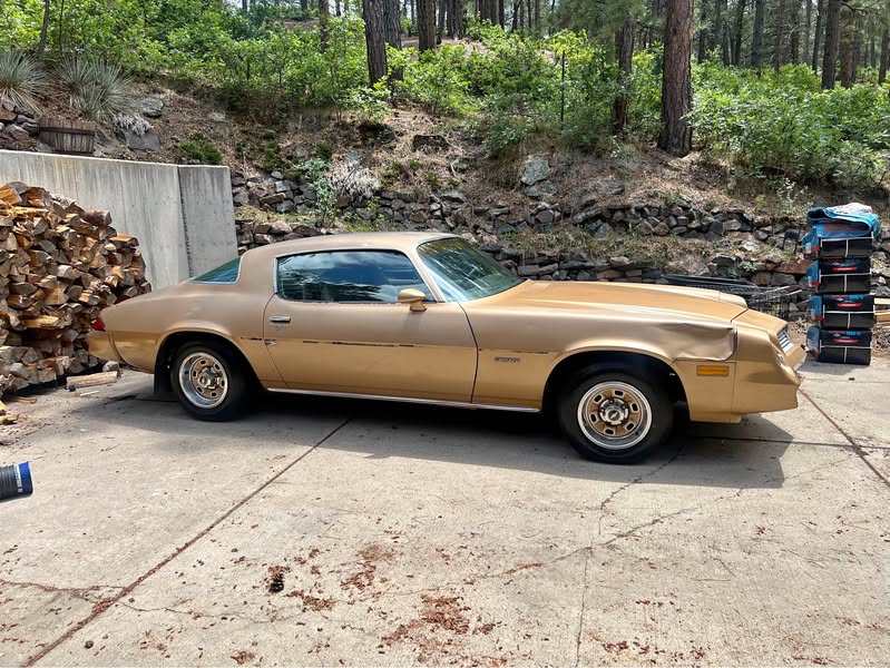 1981 Chevrolet Camaro - Coupe 2D