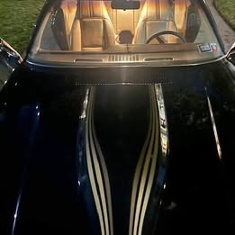 1981 Chevrolet Camaro Z28