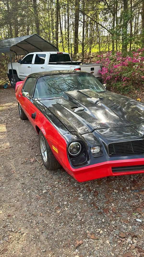 1981 Chevrolet Camaro - LS Coupe 2D