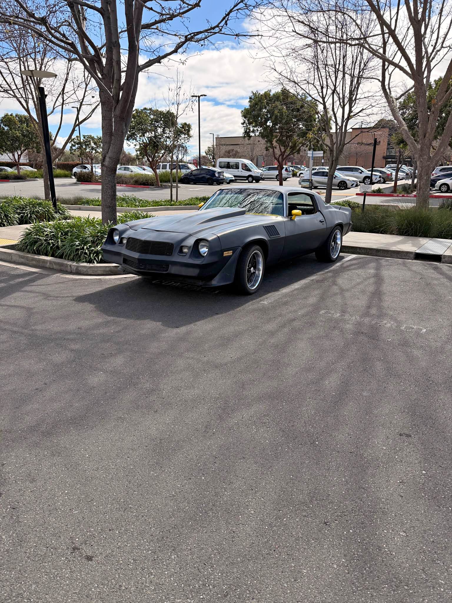 1979 Chevrolet Camaro - Z28