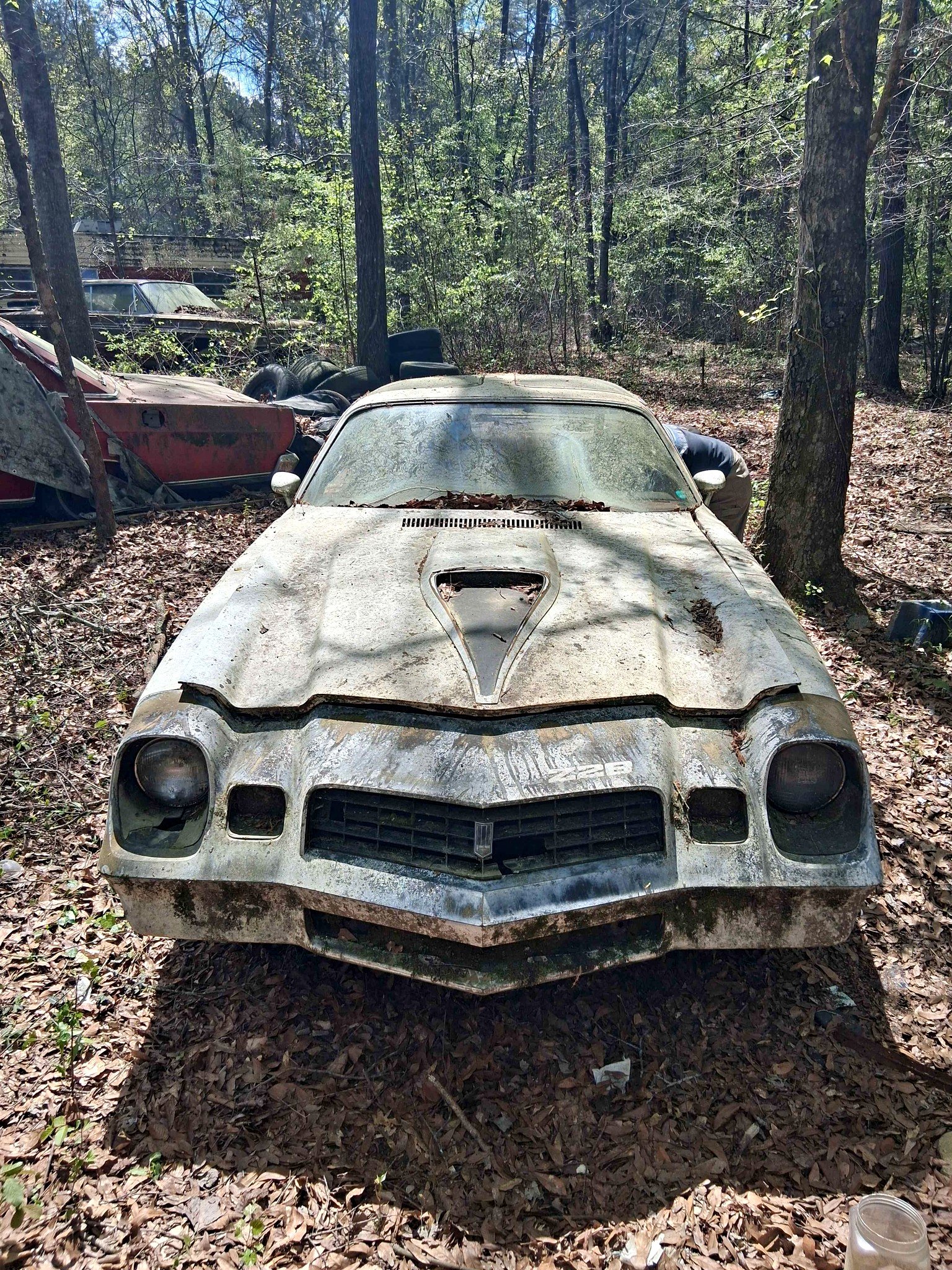 1978 Chevrolet Camaro - Coupe 2D