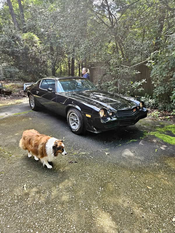 1980 Chevrolet Camaro - Z\/28 Coupe 2D