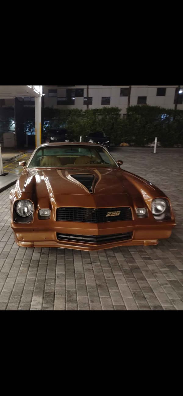 1979 Chevrolet Camaro - Z\/28 Coupe 2D