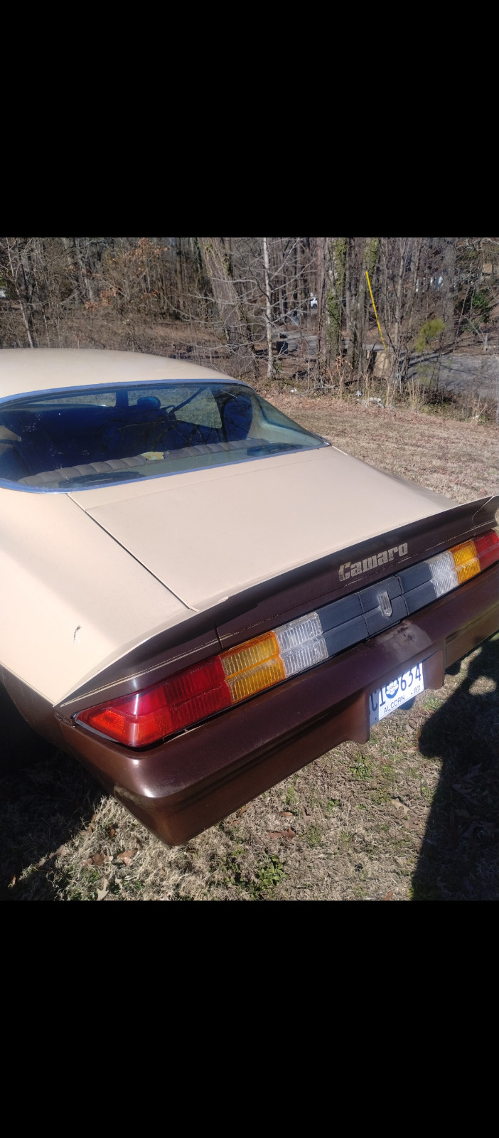 1979 Chevrolet Camaro