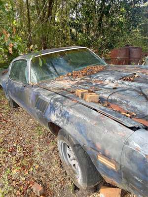 1977 Chevrolet Camaro - Coupe 2D