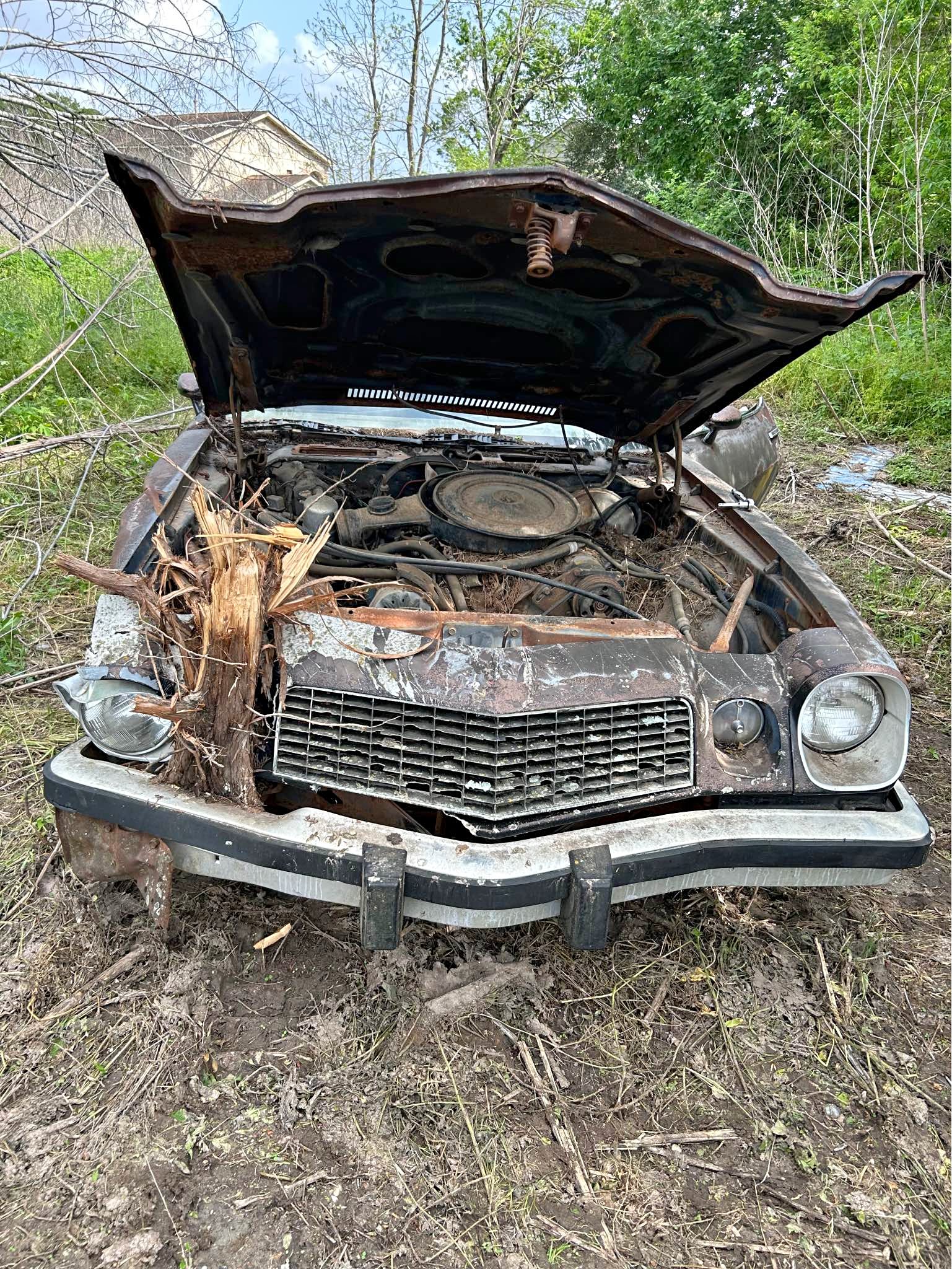 1977 Chevrolet Camaro - LT Coupe 2D