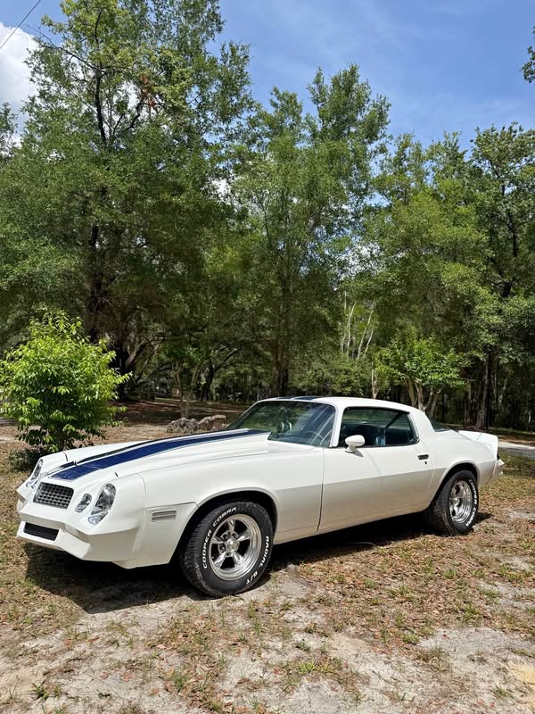1980 Chevrolet Camaro - Coupe 2D