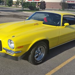 1981 Chevrolet Camaro - Z\/28 Coupe 2D