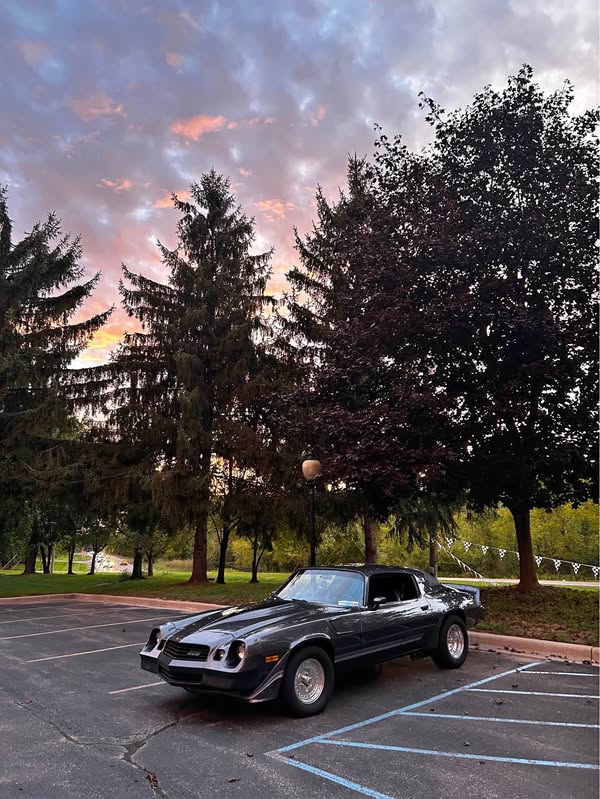 1981 Chevrolet Camaro - Z\/28 Coupe 2D