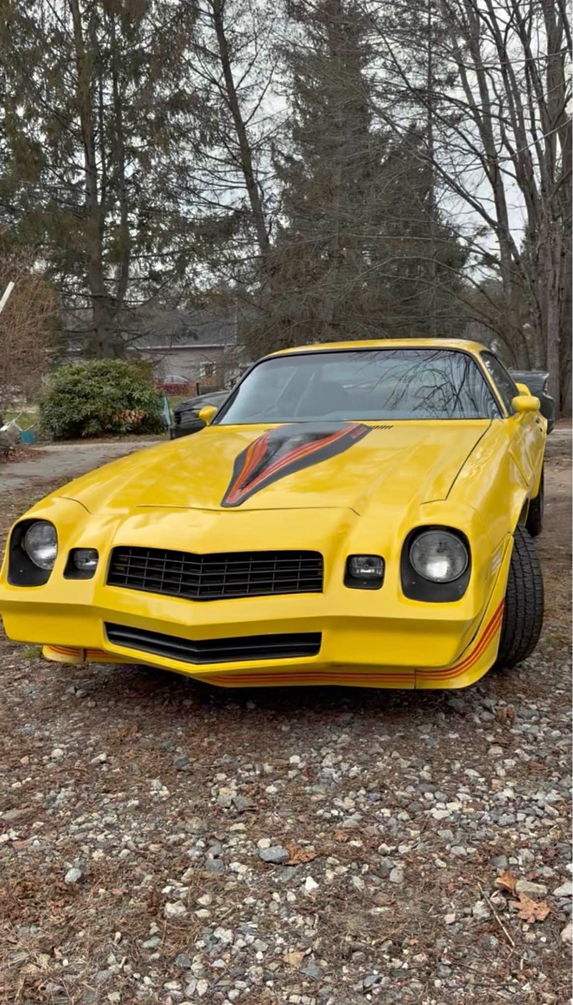1981 Chevrolet Camaro - Z\/28 Coupe 2D