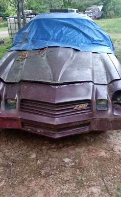 1981 Chevrolet Camaro - Z\/28 Coupe 2D