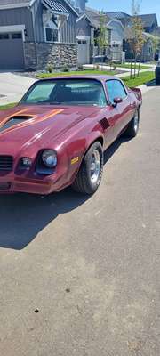 1978 Chevrolet Camaro - Z\/28 Coupe 2D