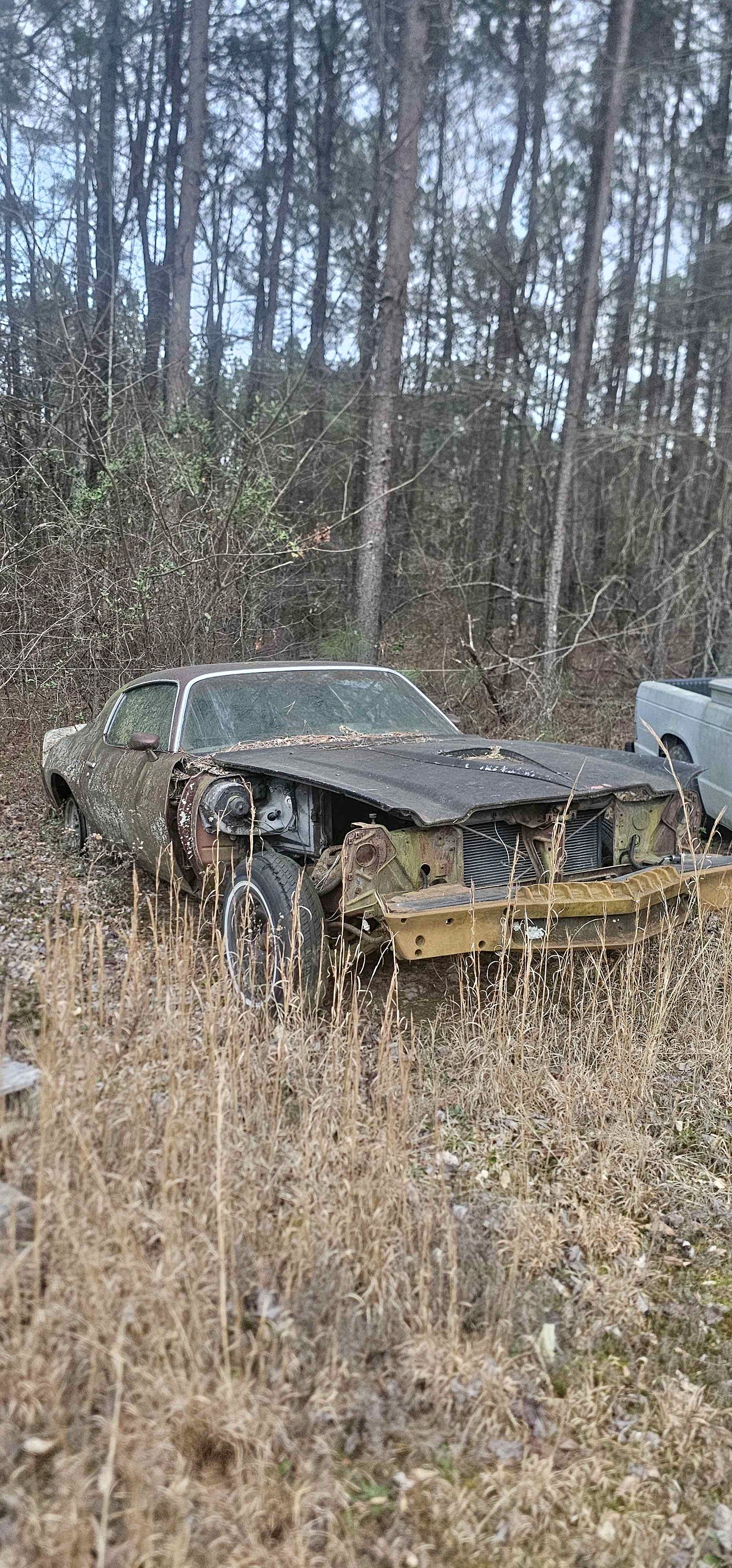 1979 Chevrolet Camaro - Coupe 2D