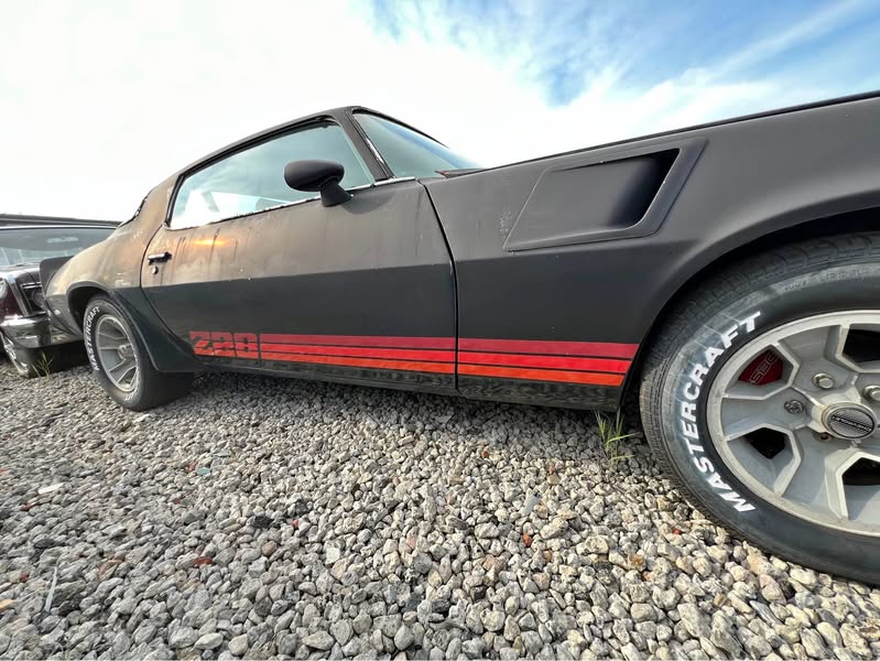 1981 Chevrolet Camaro - Z28 Coupe 2D