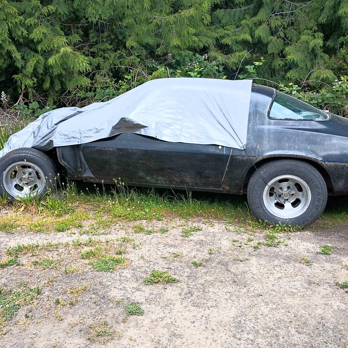 1979 Chevrolet Camaro - Coupe 2D
