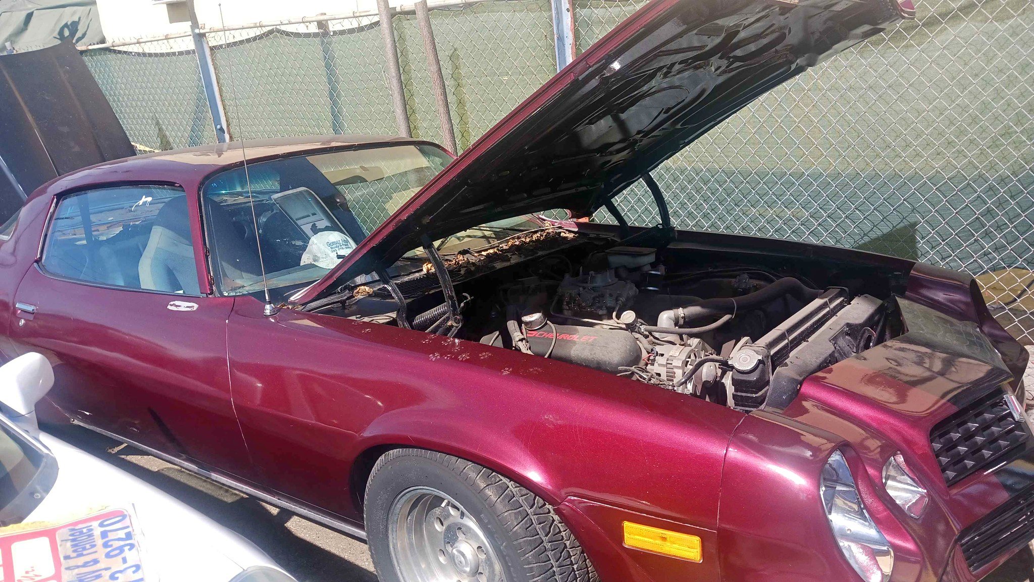 1981 Chevrolet Camaro - Sports coupe