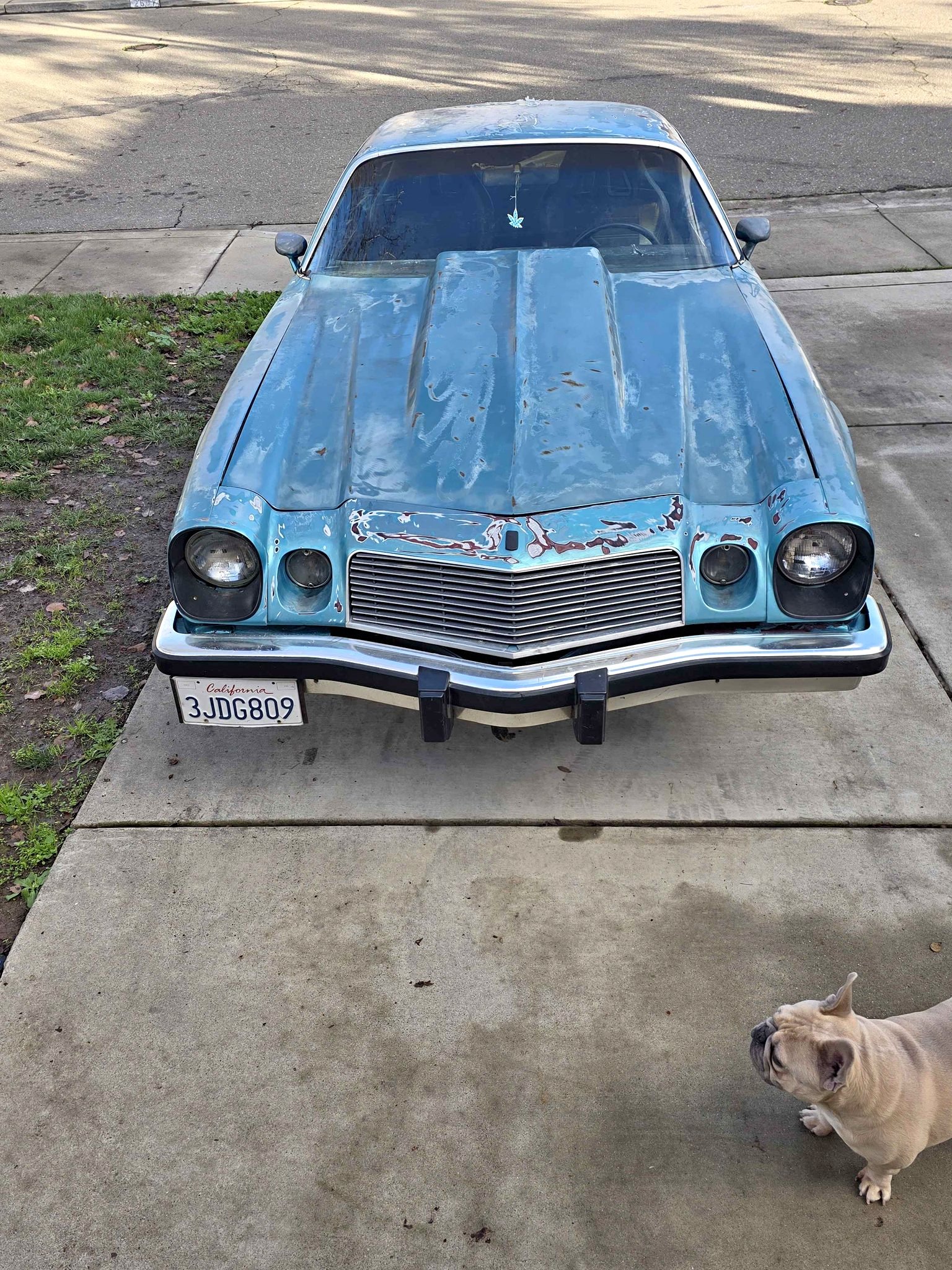 1975 Chevrolet Camaro - LT Coupe 2D