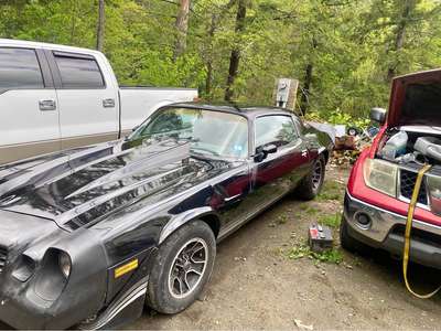1981 Chevrolet Camaro - LS Coupe 2D