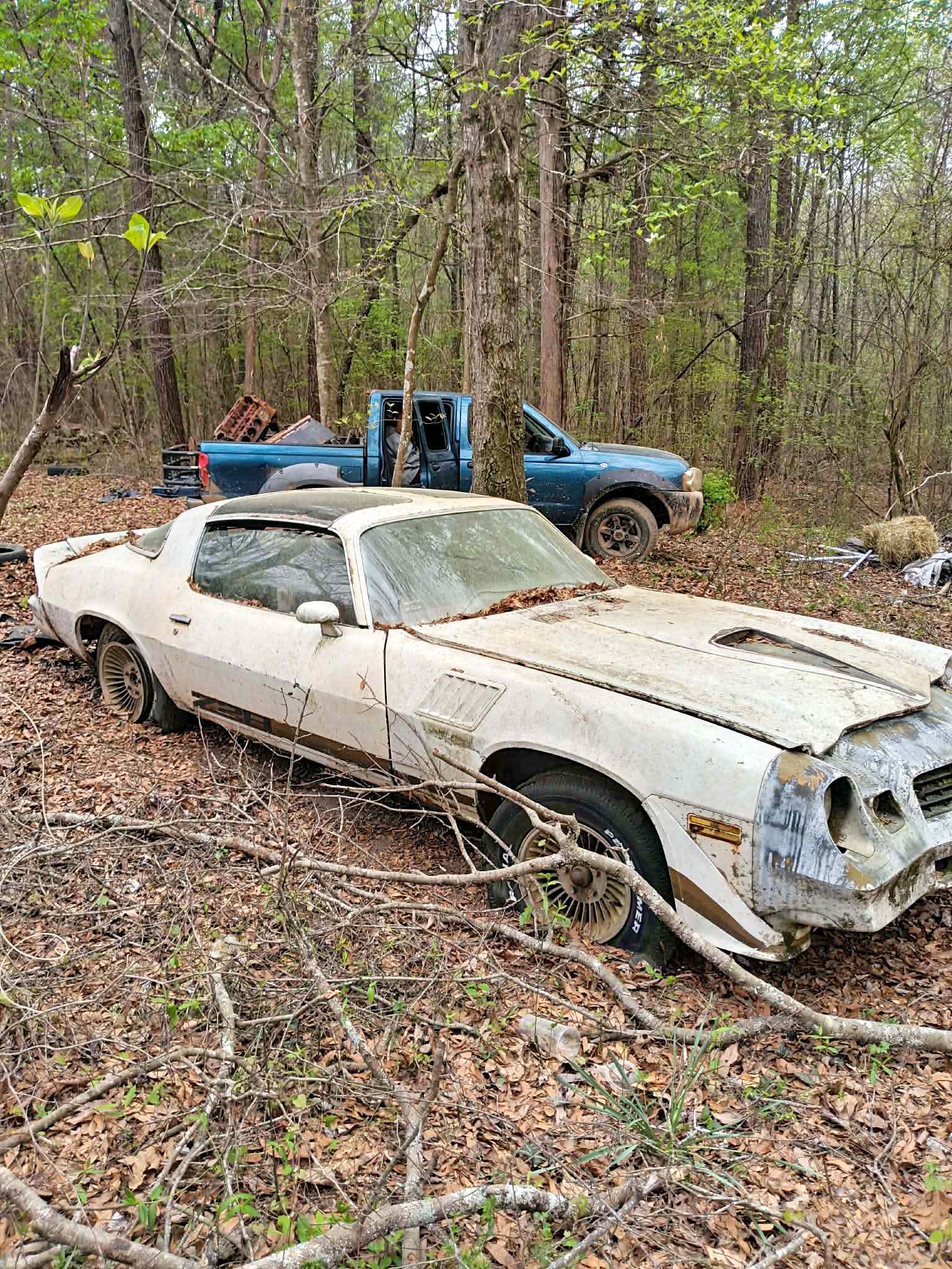 1979 Chevrolet Camaro - Z\/28 Coupe 2D
