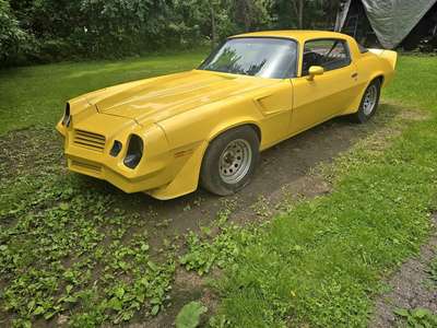 1981 Chevrolet Camaro - Z28 Coupe 2D