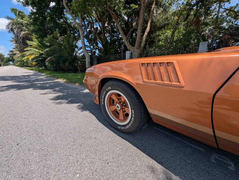 1979 Chevrolet camaro