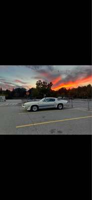 1980 Chevrolet Camaro - Z\/28 Coupe 2D