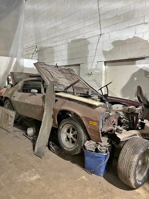 1980 Chevrolet Camaro - Z\/28 Coupe 2D