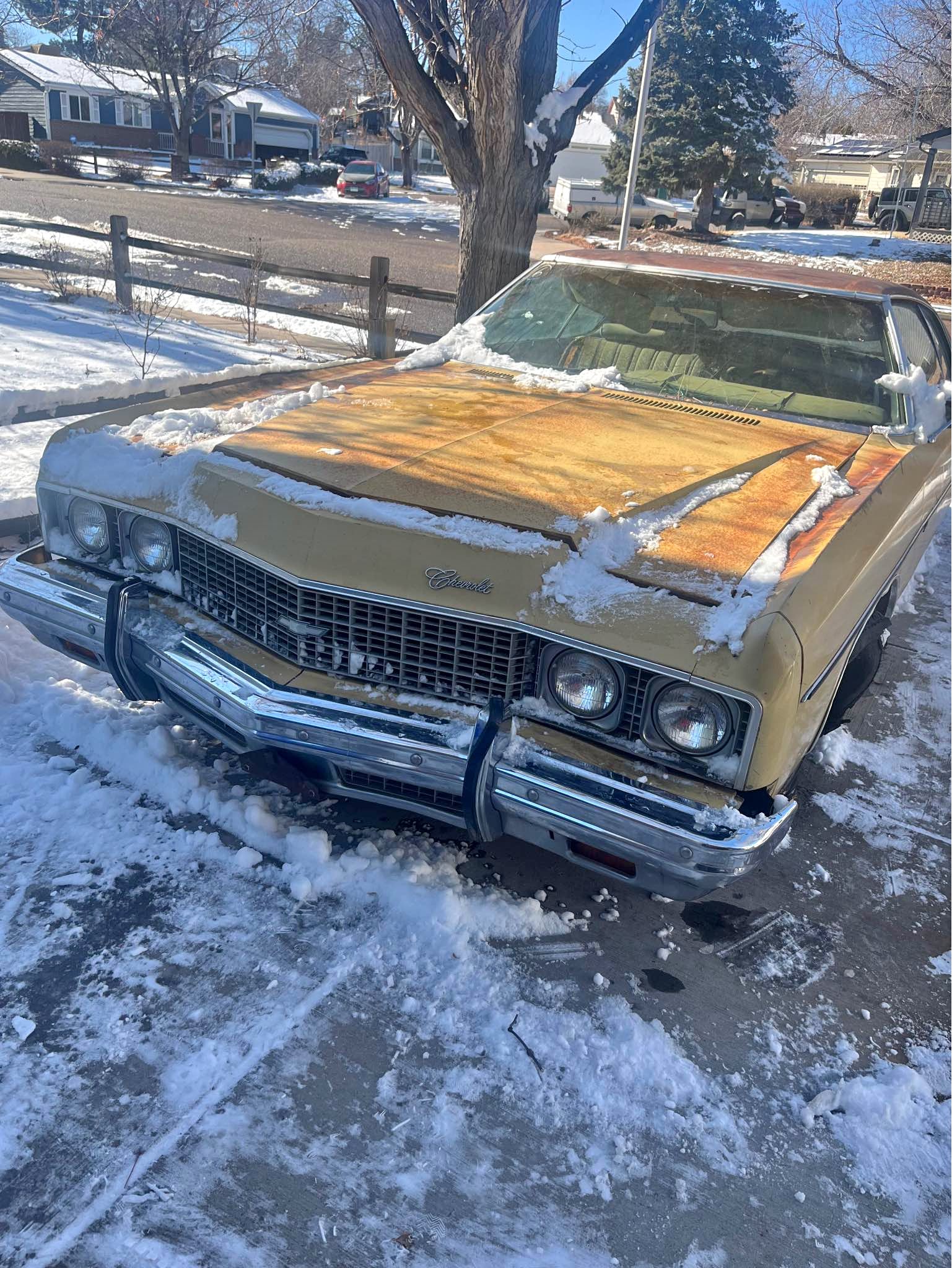 1973 Chevrolet Caprice