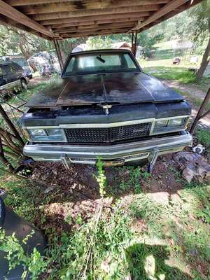1977 Chevrolet Caprice Classic - 2 door