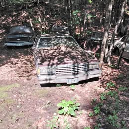 1986 Chevrolet Caprice