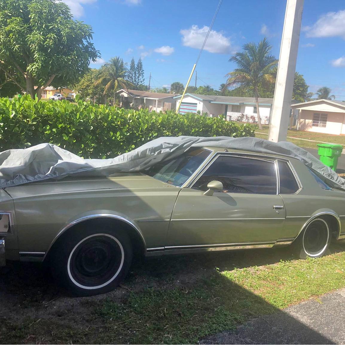 1979 Chevrolet Caprice