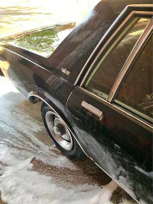 1984 Chevrolet Caprice Classic - Sedan 4D