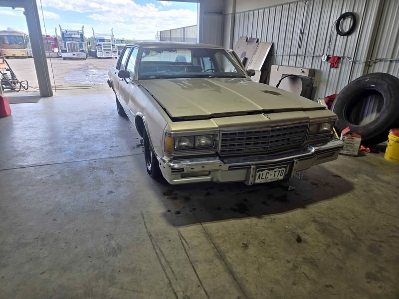 1985 Chevrolet Caprice - Sedan 4D