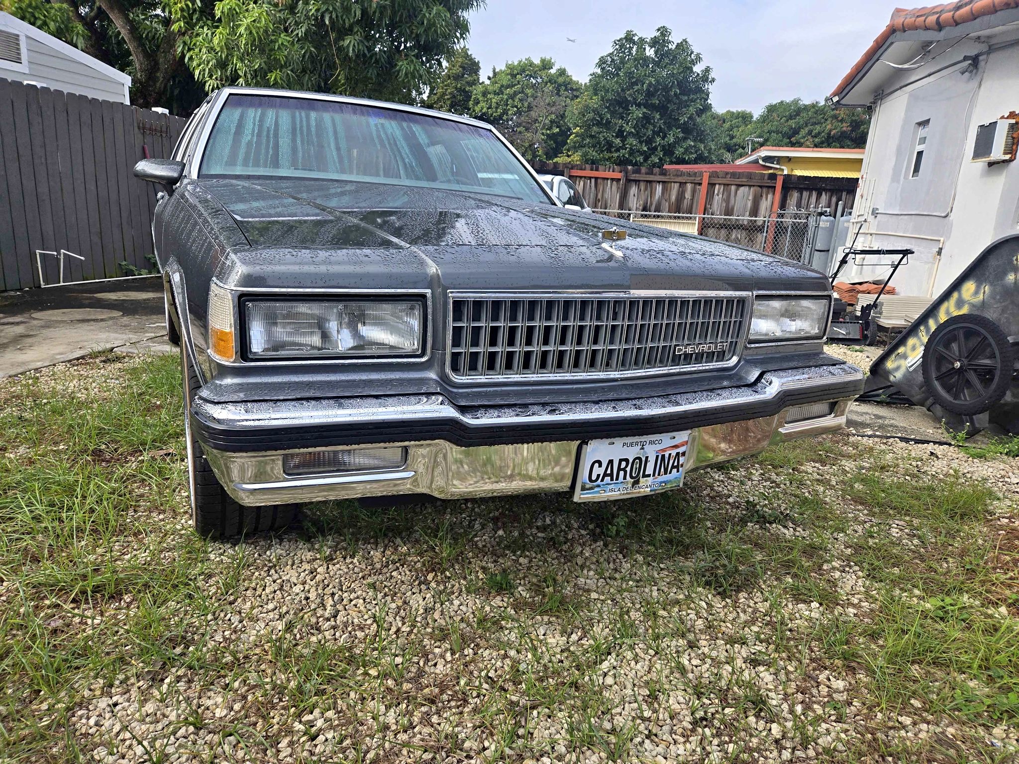 1989 Chevrolet Caprice - LS Sedan 4D