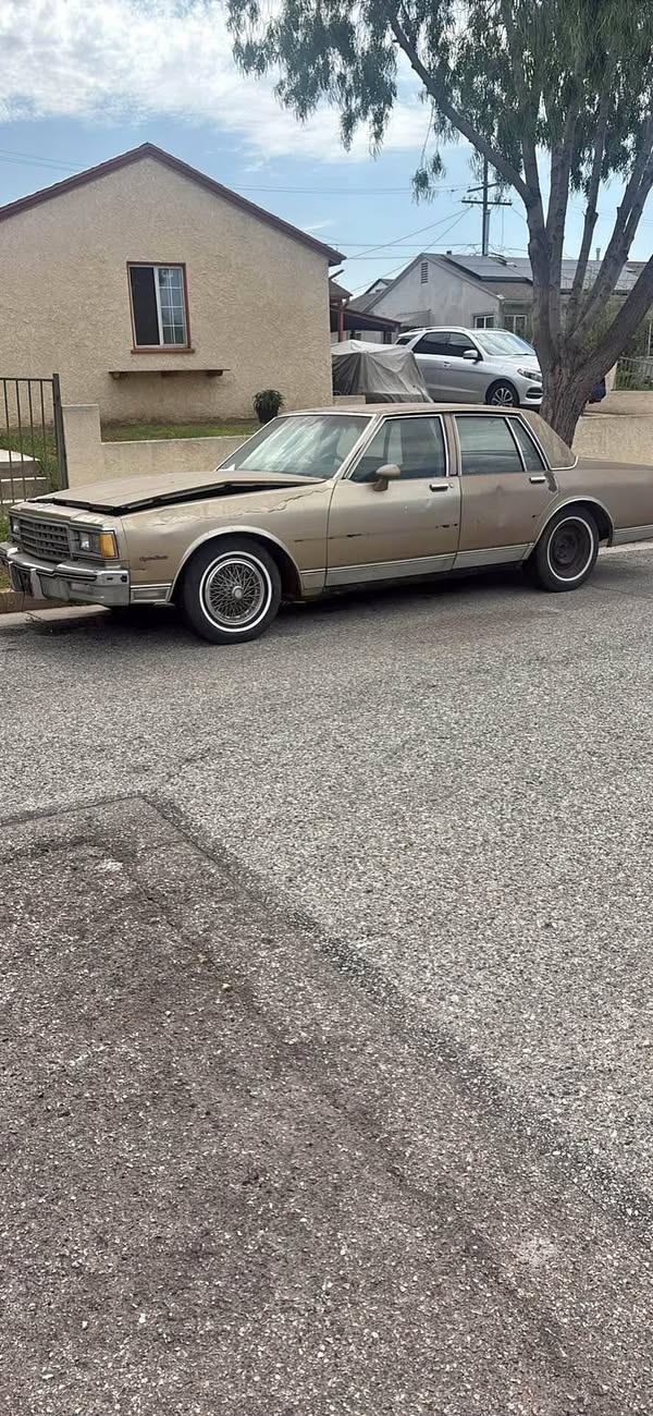 1981 Chevrolet Caprice - Classic Sedan 4D