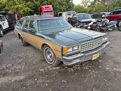 1985 Chevrolet Caprice - Wagon 4D