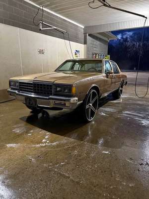 1985 Chevrolet Caprice Classic - Sedan 4D