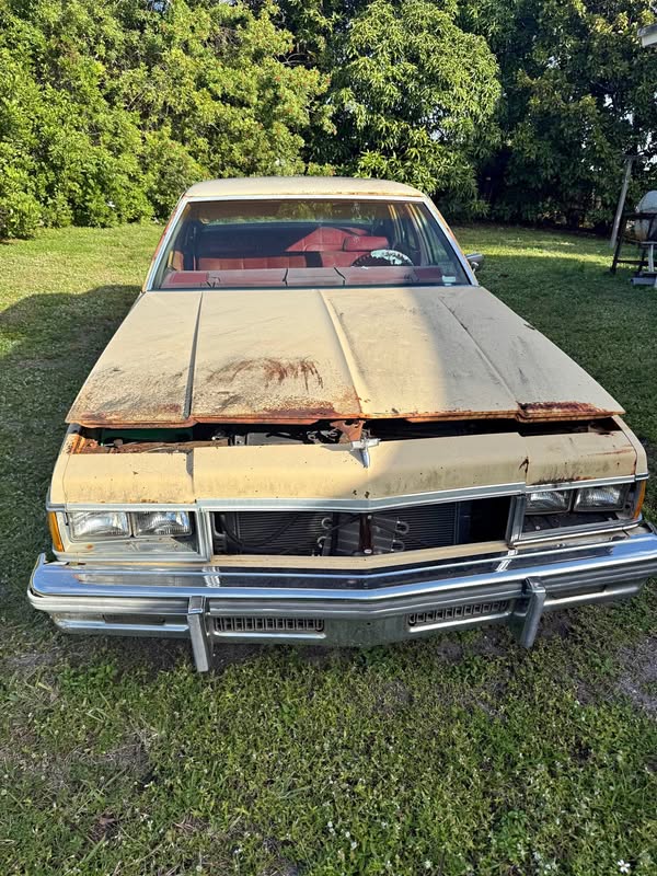 1977 Chevrolet Caprice - Classic Sedan 4D