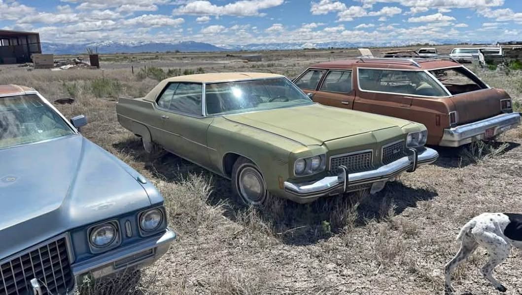 1974 Chevrolet Caprice Classic - Wagon 4D