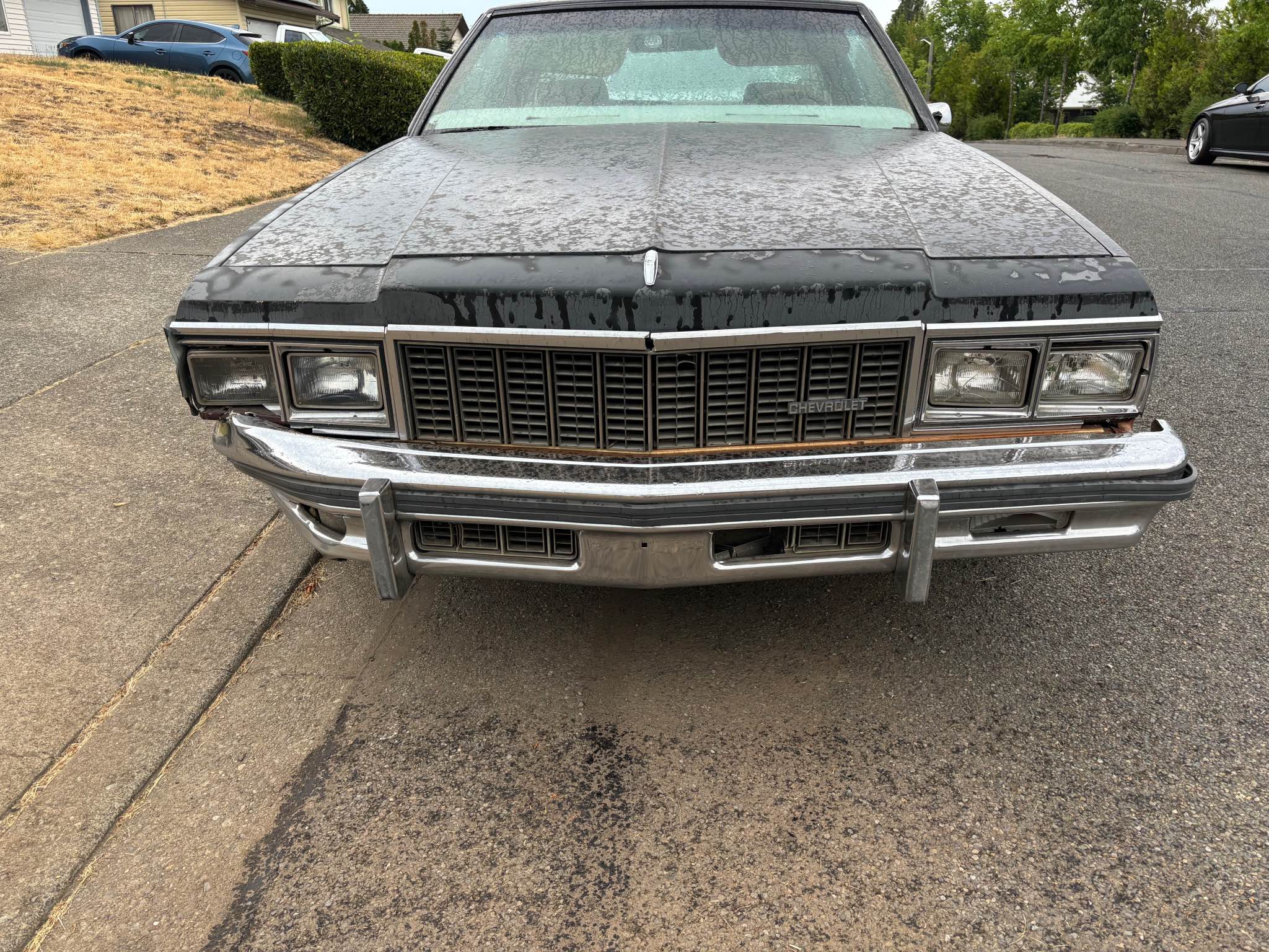 1979 Chevrolet Caprice Classic